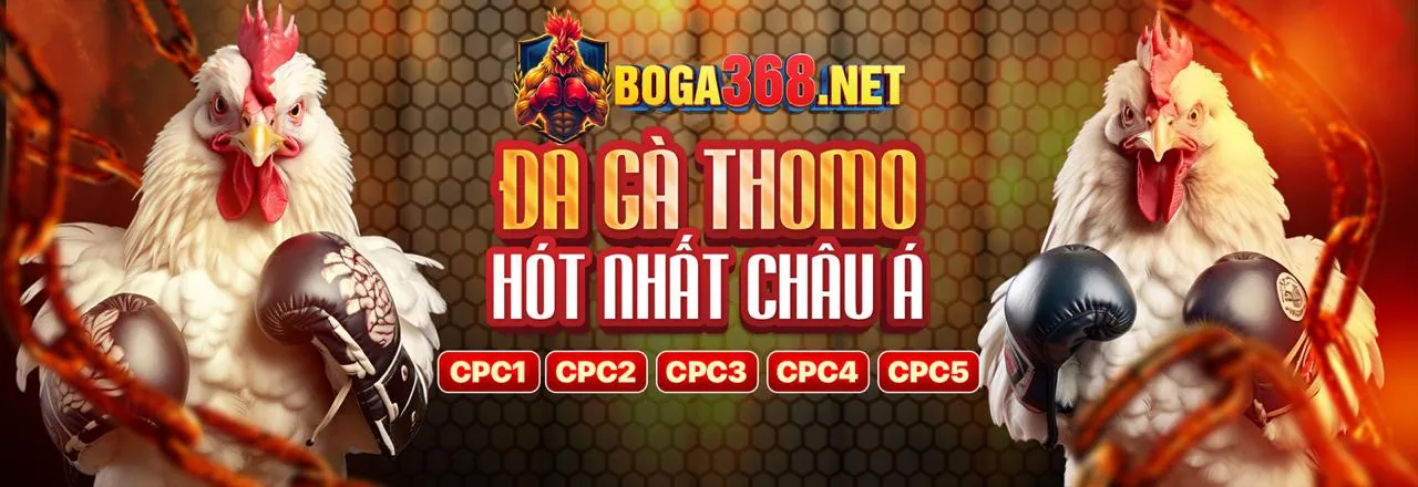 Đá Gà Trực Tuyến và Xì Dách Hấp Dẫn